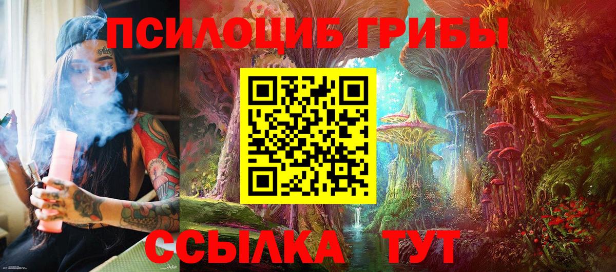 Псилоцибиновые грибы прущие грибы  Вход с VPN  Брянск  Галлюциногенные грибы Magic Shrooms 